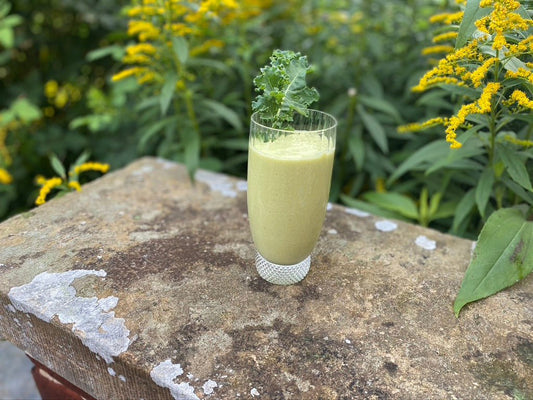 7 Superfoods til at støtte dit immunforsvar - Britt's Superfoods DK