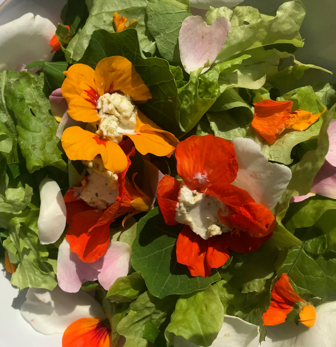 Hvad er en superfood salat?