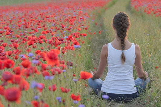 Holistisk sundhed: Byg bro mellem sind og krop - Britt's Superfoods DK