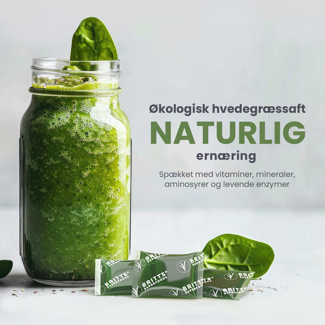 Hvedegræssaft - Britt's Superfoods DK