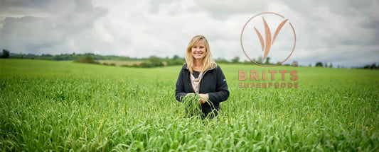 De største fordele ved hvedegræssaft og de bedste måder at nyde den på - Britt's Superfoods DK