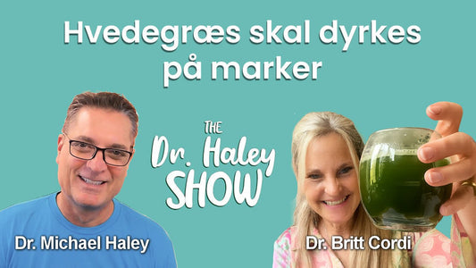 Podcast med Dr. Harley: Hvedegræs skal dyrkes på marker - Britt's Superfoods DK