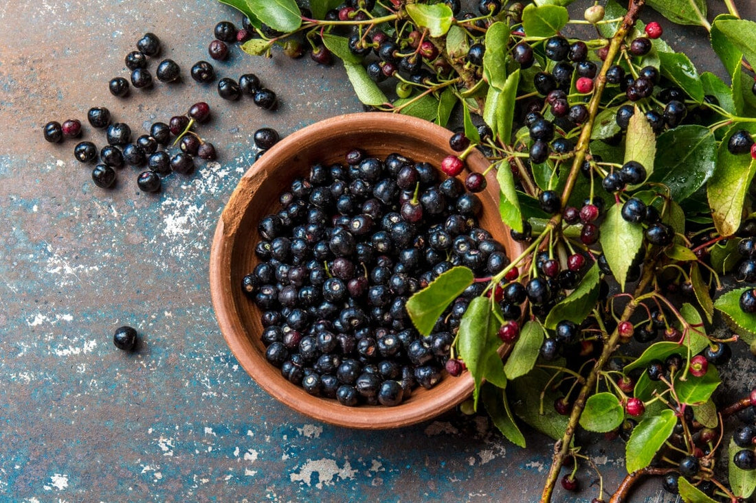 Sundheds virkningen ved Maqui bær - Britt's Superfoods DK