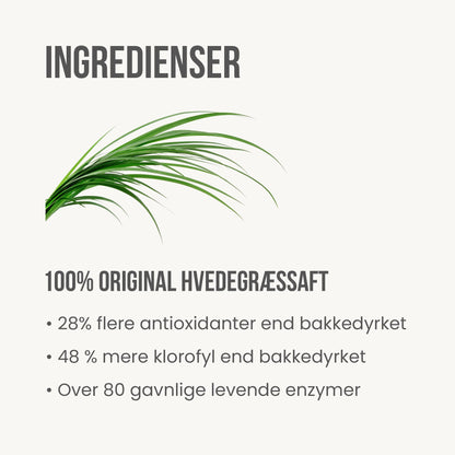 Hvedegræssaft - Britt's Superfoods DK