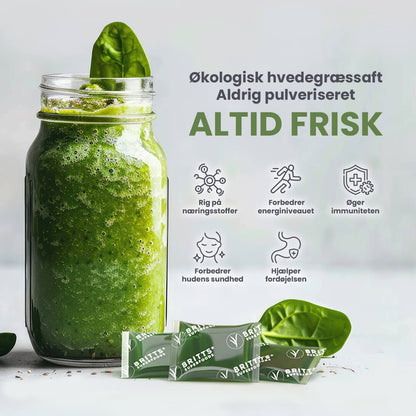 Hvedegræssaft - Britt's Superfoods DK