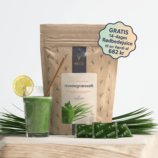Hvedegræssaft - Britt's Superfoods DK